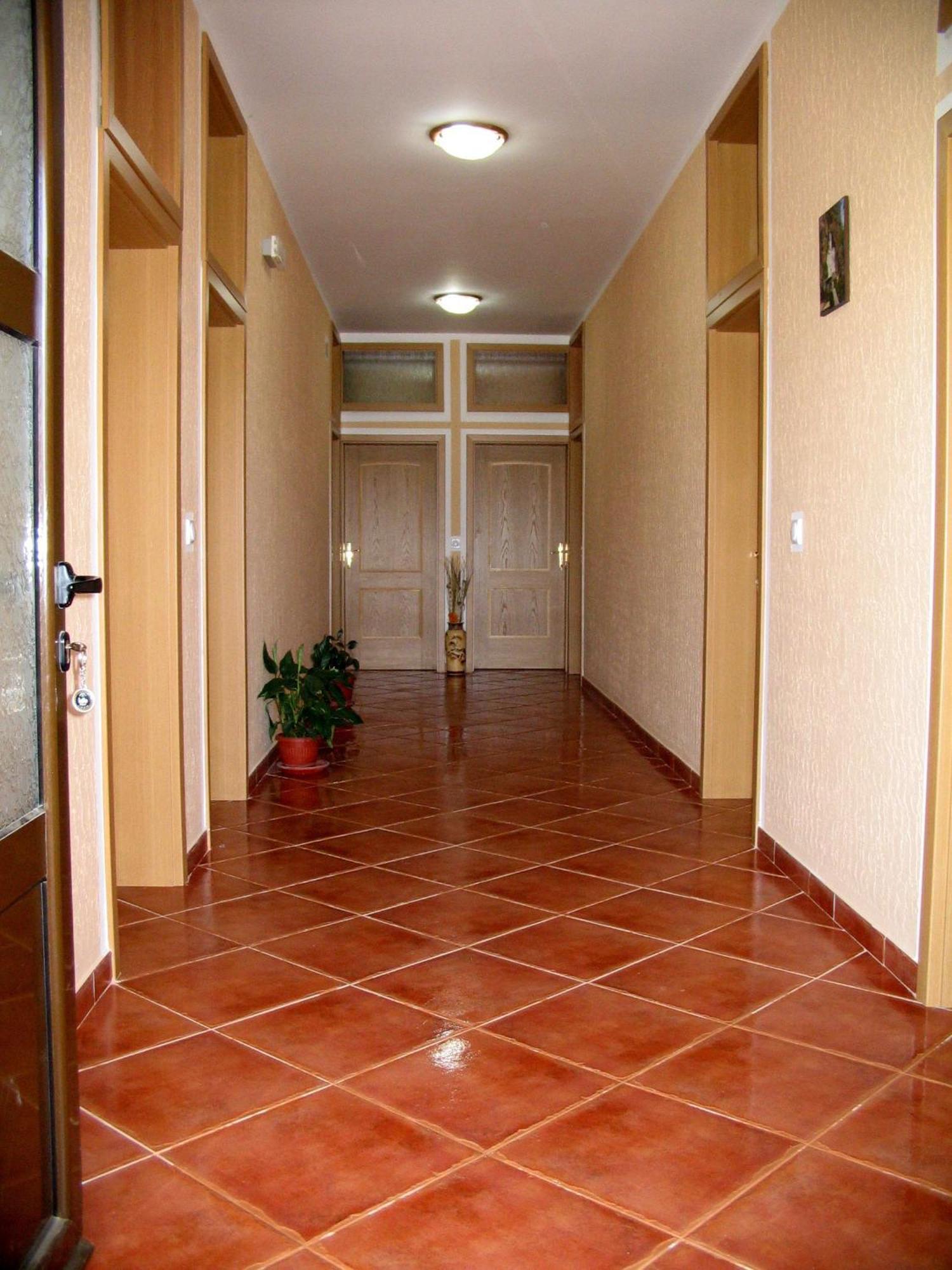 Apartments Radosavovic بار المظهر الخارجي الصورة