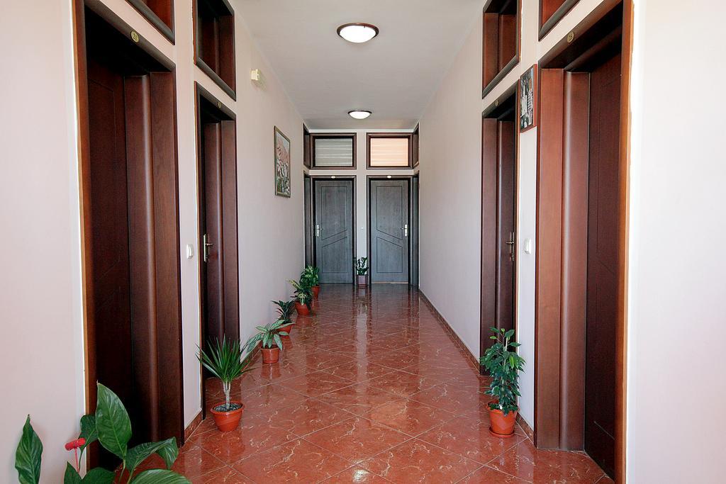 Apartments Radosavovic بار المظهر الخارجي الصورة