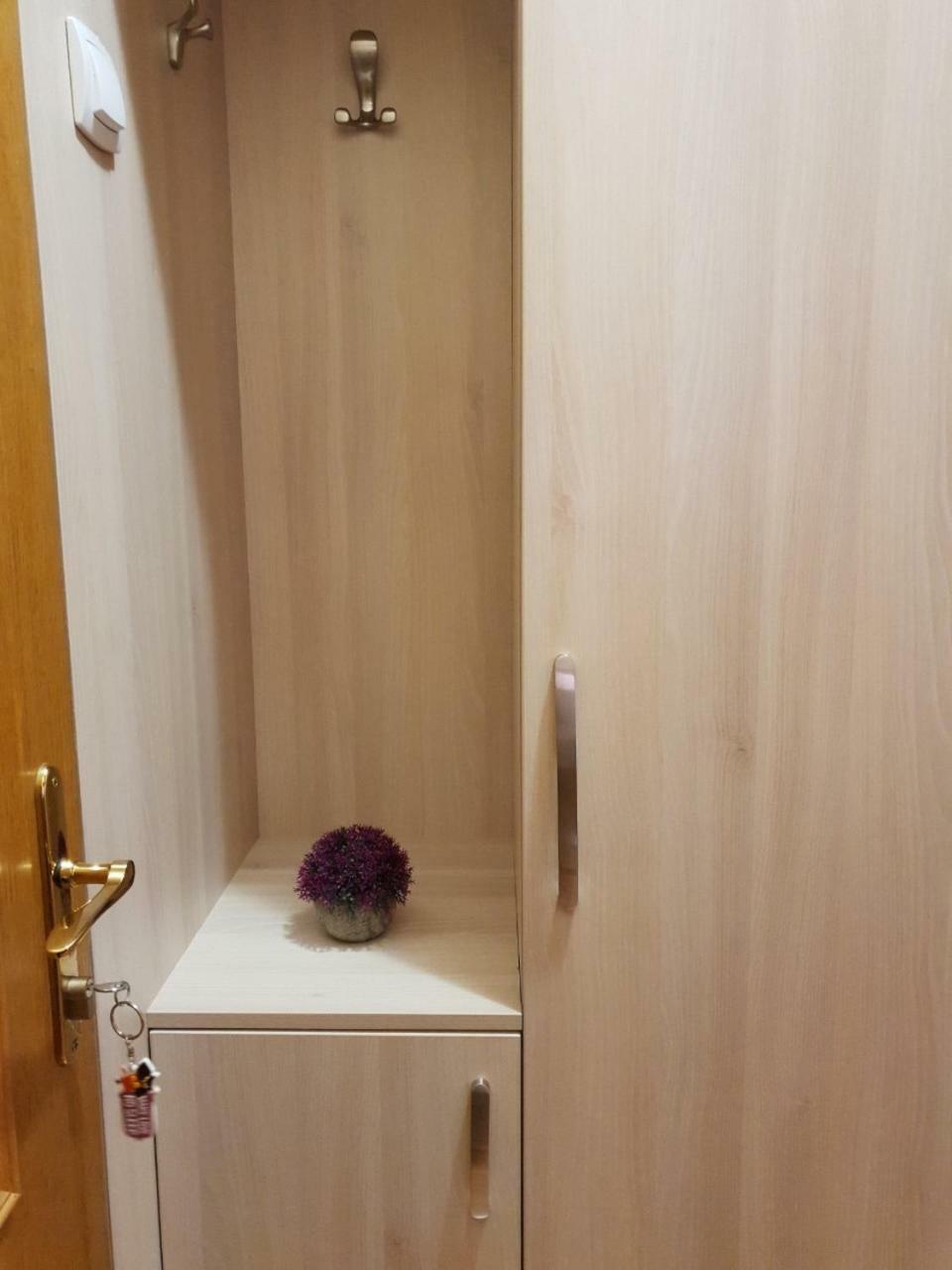 Apartments Radosavovic بار المظهر الخارجي الصورة